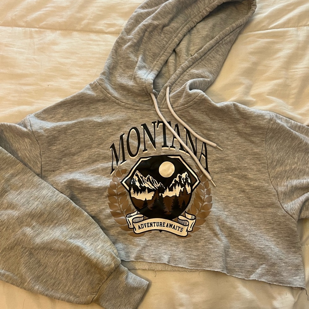 Refuge Gray Cropped Hoodie